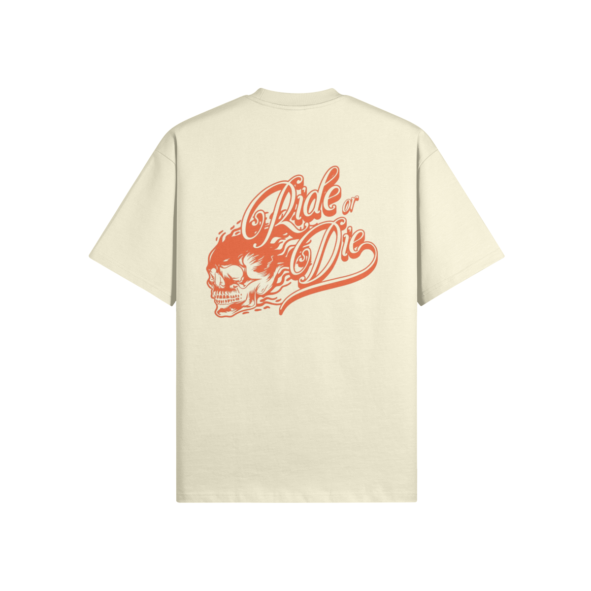 0-YCK-Back Side
